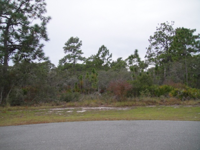 Lot 92, PANACEA, FL 32346 