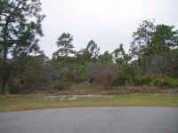 Lot 92, PANACEA, FL 32346 