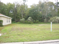 839 ANGELINA COURT Lot 839, PORT ORANGE, FL 32127 