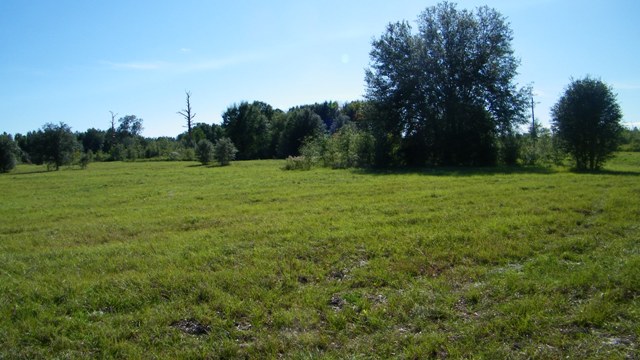 Hampton Farm Lot 21, WILLISTON, FL 32696 