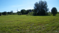 Hampton Farm Lot 21, WILLISTON, FL 32696 