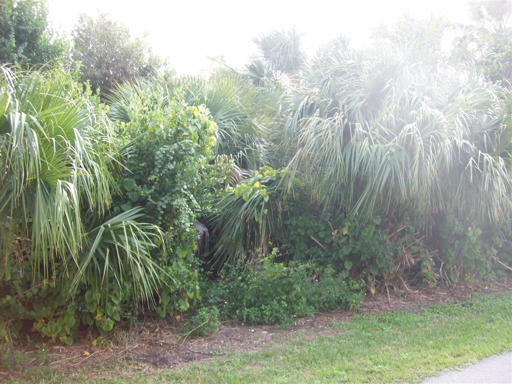 14  COCHRAN LN, PALM COAST, FL 32137 
