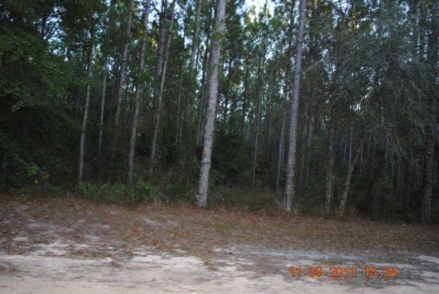 NORTHEAST ASBELL CRE, BRONSON, FL 32621 