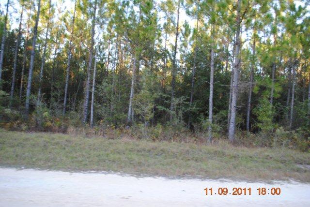 LOT 52 WINDING RIVER, BRONSON, FL 32621 