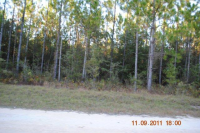 LOT 52 WINDING RIVER, BRONSON, FL 32621 