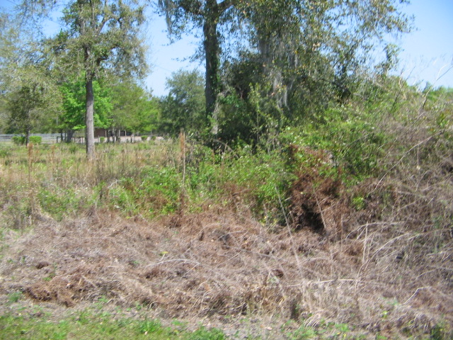 5993 Cr 209, Green Cove Springs, FL 32043 