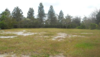 1668 Wild Indigo Ter, Oviedo, FL 32766 