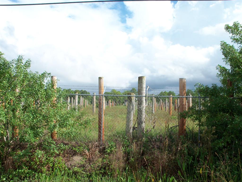 Lot 14 181st Terrace N, Loxahatchee, FL 33470 