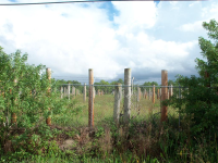 Lot 14 181st Terrace N, Loxahatchee, FL 33470 