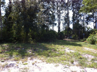 3505 30 ST SW, LEHIGH ACRES, FL 33976 