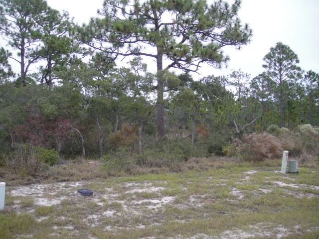LOT 91, PANACEA, FL 32346 