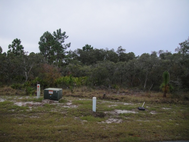 Lot 94, PANACEA, FL 32346 