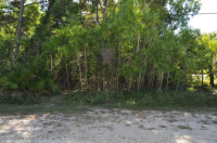 3810  MYERS LN, ST JAMESCIT, FL 33956 