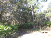 XXX BRIDGE ST, ENGLEWOOD, FL 34223 