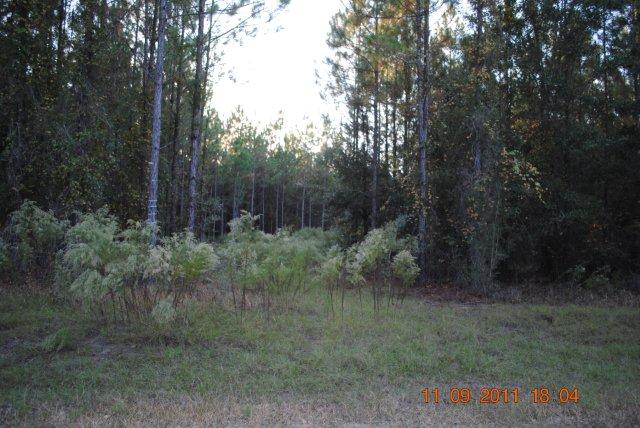 LOT 17 NE JONES RD, BRONSON, FL 32621 