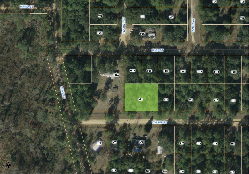 420  TOPPER ST, INTERLACHEN, FL 32148 