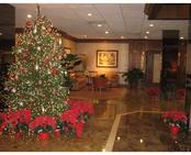 90 EDGEWATER DR # 109, Coral Gables, FL 33133 