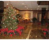 90 EDGEWATER DR # 109, Coral Gables, FL 33133 