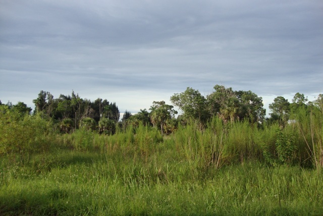11362 SECOND AVE, PUNTA GORDA, FL 33955 