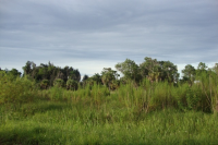 11362 SECOND AVE, PUNTA GORDA, FL 33955 