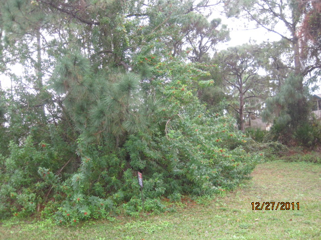 9049  BANTRY BAY BLVD, ENGLEWOOD, FL 34224 