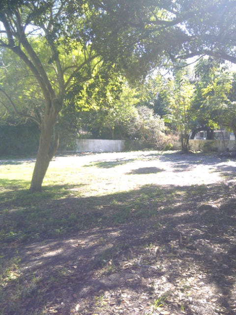 712 14TH AVE N, SAINT PETERSBURG, FL 33701 