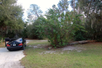 1974 BEE POND ROAD, PALM HARBOR, FL 34683 