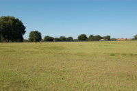 LOT 145 BROADLAND PASS, THONOTOSASSA, FL 33601 