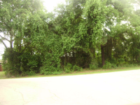 10115 Coco Plumosa Dr, Crystal River, FL 34428 