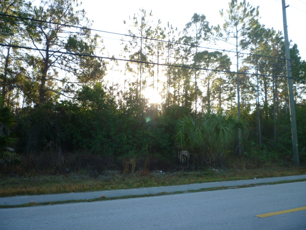 3891 White Boulevard, Naples, FL 34117 
