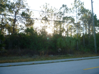 3891 White Boulevard, Naples, FL 34117 