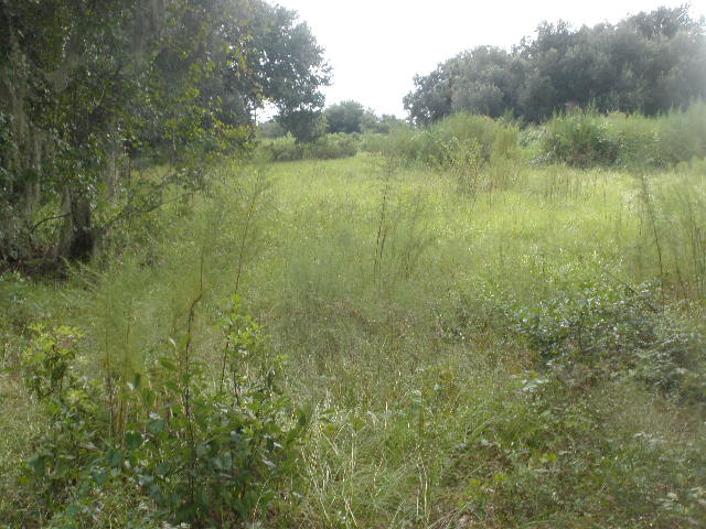 Lot 2 Plantation Oaks Subd, Plant City, FL 33563 