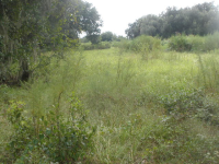Lot 2 Plantation Oaks Subd, Plant City, FL 33563 
