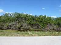 0 SEARS ROAD LOT 6, LABELLE, FL 33935 
