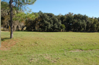 18228 HANCOCK BLUFF ROAD, DADE CITY, FL 33523 