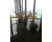 10155 COLLINS AV # PH2, Bal Harbour, FL 33154 