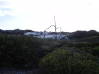 192  AVALON DR, CAPE SAN BLAS, FL 32456 