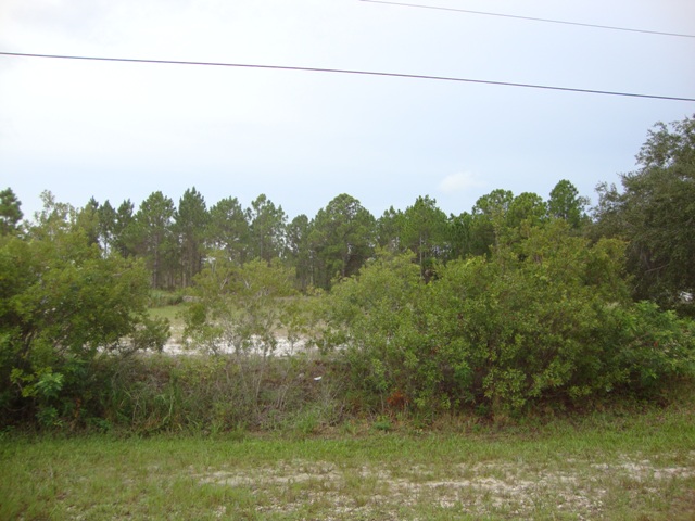 14080  CHANCELLOR ST, FORT MYERS, FL 33905 