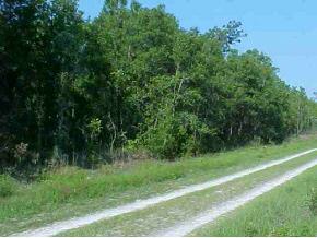 E. 1/2 of Lot 10,  94TH STREET S.W., DUNNELLON, FL 34432 