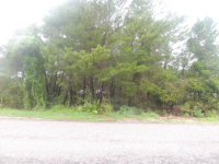 431  GULFVIEW DR, PANAMA CITY BEACH, FL 32413 