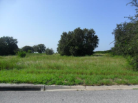 HOLLY HILL GROVE RD, DAVENPORT, FL 33837 