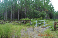 TRACT 17, OTTER CREEK, FL 32621 