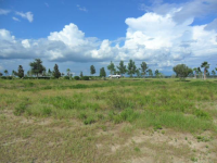 LOT 210 BLUE FLAG DR, AUBURNDALE, FL 33823 