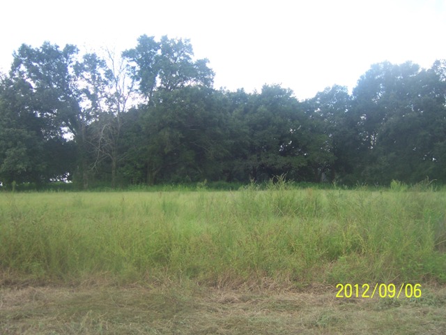 Lot 87 Block A Irish Acres, Ocala, FL 34482 