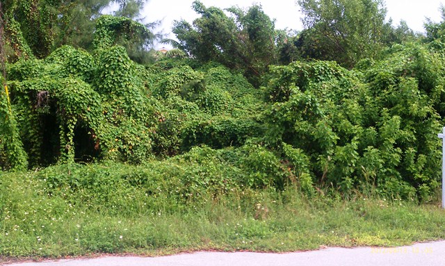 Lot 7 Blk11 Center I, Duck Key, FL 33050 