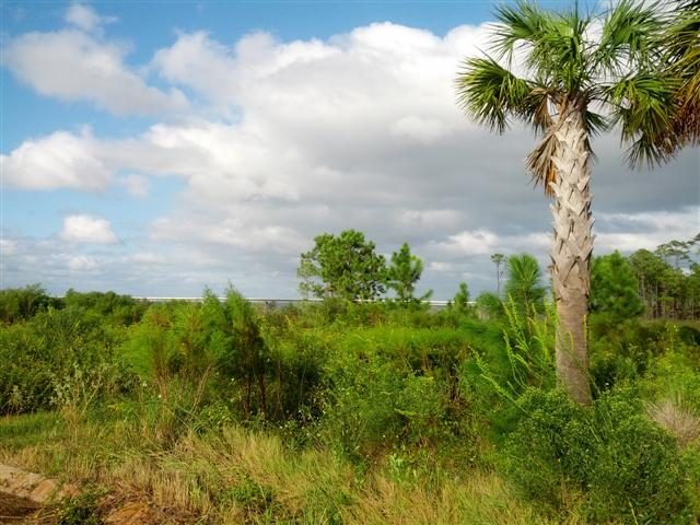 Lot 11 CLIPPER BAY DR, GULF BREEZE, FL 32563 