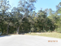 XXX HUNTERS WAY, FREEPORT, FL 32439 