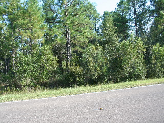Sec 30 Township 2n Range, Fountain, FL 32438 