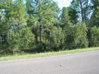Sec 30 Township 2n Range, Fountain, FL 32438 