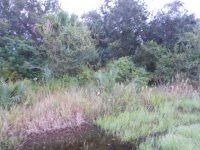 3584 Highway 98 North, Okeechobee, FL 34972 